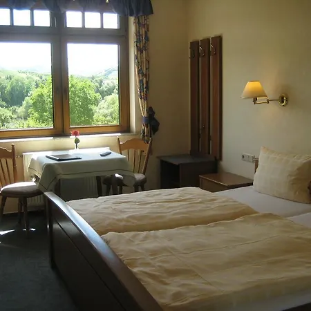 Moselhotel Lesura 3*