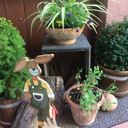 Moselhotel Lesura Hotel Lieser