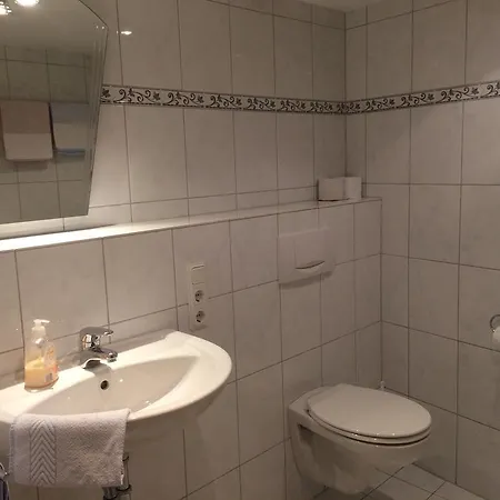 Hotel Moselhotel Lesura 3*