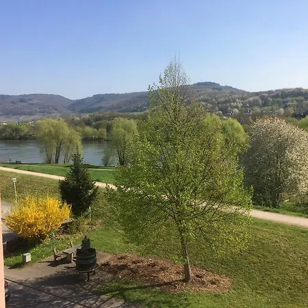 Hotel Moselhotel Lesura