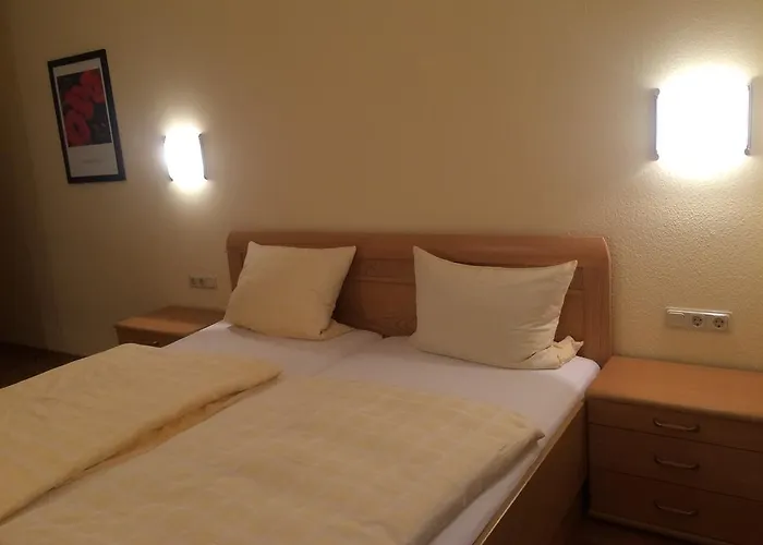 ホテル Moselhotel Lesura