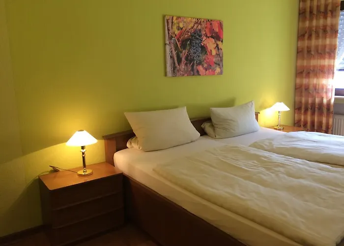 Moselhotel Lesura Lieser