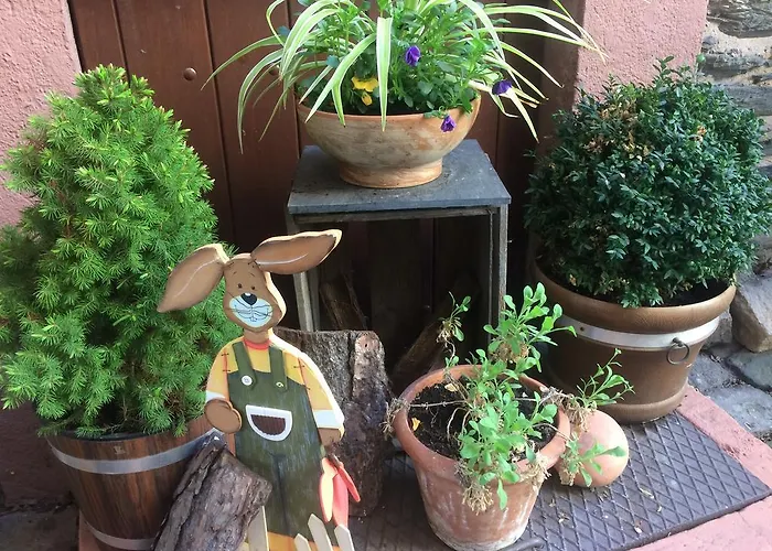 Moselhotel Lesura Hotel Lieser