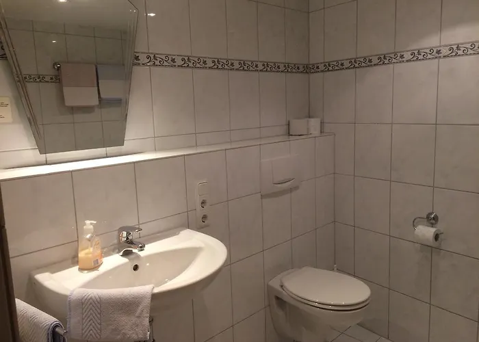 ホテル Moselhotel Lesura 3*